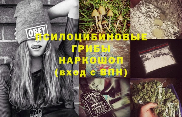 PSILOCYBIN Алзамай