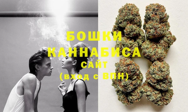 PSILOCYBIN Алзамай