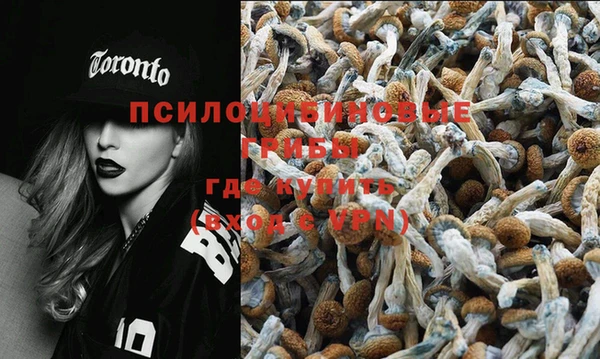 PSILOCYBIN Алзамай
