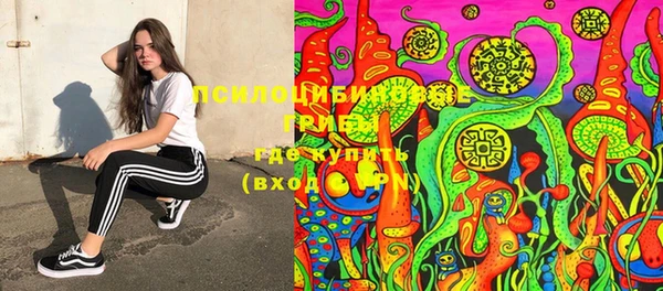 PSILOCYBIN Алзамай