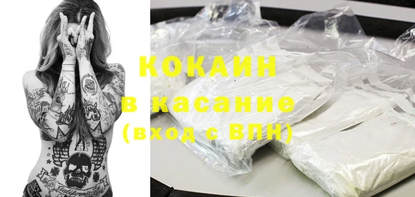 PSILOCYBIN Алзамай