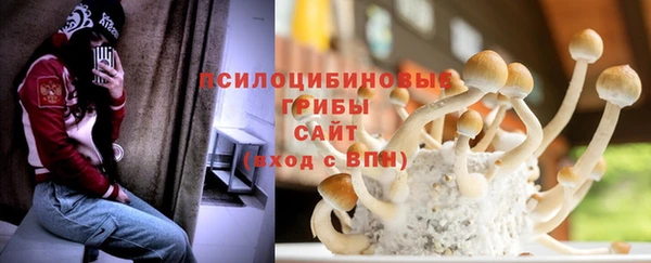 PSILOCYBIN Алзамай