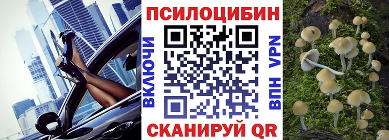 это формула Кореновск Галлюциногенные грибы Psilocybine cubensis
